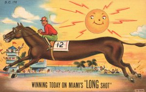 Vintage Postcard Horse Racing Winning Today on Miami's Long Shot Florida Comic