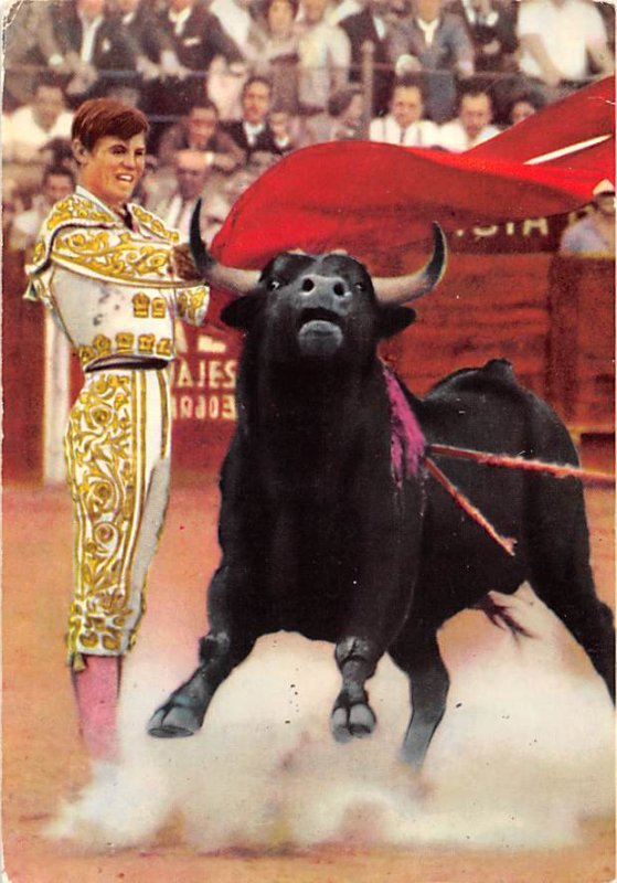 Bull Fight Tarjeta Postal Bullfighting Unused 