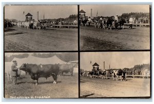 c1910's Cows Bull Calvacade At State Fair Multiview VT RPPC Photo Postcard 