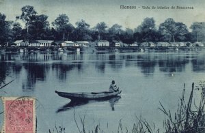 brazil, MANAOS MANAUS, Vista do Interior do Amazonas (1919) Postcard