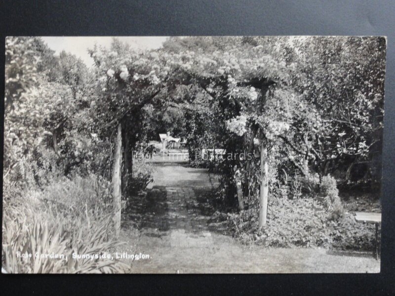 Sussex: Litlington, Sunnyside Rose Garden (Tea Garden?) c1933 RP