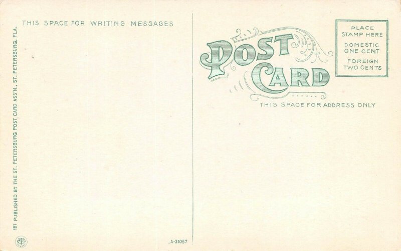 LPF87 St. Petersburg Swimming   Florida Postcard 