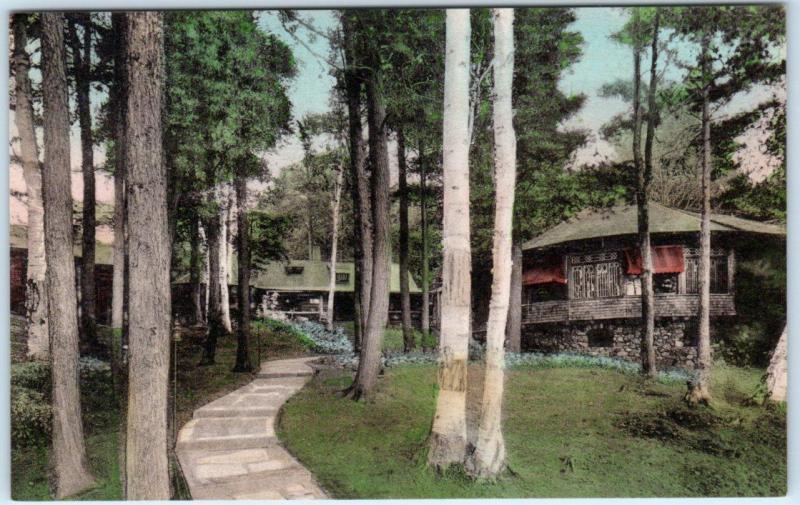 BURLINGTON, Vermont  VT   Handcolored  ALLENWOOD INN  Lake Champlain  Postcard