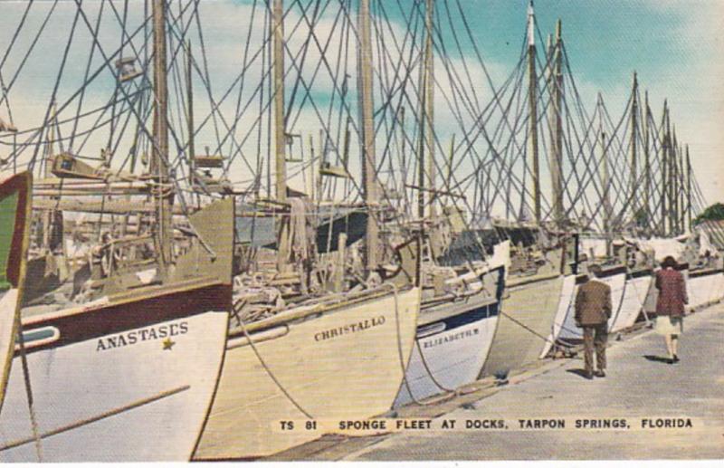 Florida Tarpon Springs Sponge Fleet At Docks