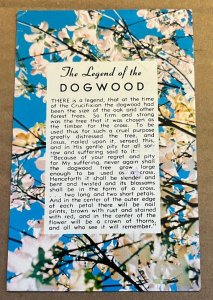 USED POSTCARD - THE LEGEND OF THE DOGWOOD