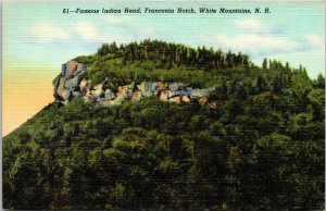 White Mountains NH Franconia Notch Indian Head Scenic Landmark Linen Postcard 