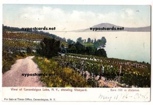 Vineyard, Canandaigua Lake NY