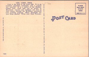 The Cork Oak Tree, Annapolis Md Vintage Postcard Z09