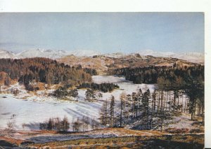 Lancashire Postcard - Tarn Hows in Winter - Ref TZ8716