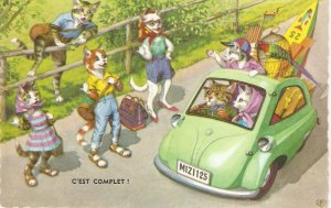 Hum,orous Humanized Cats. C'es complet! Vintage Belgian postcard