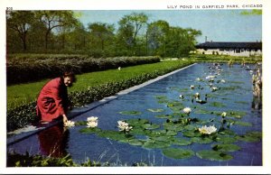 Illinois Chicago Garfield Park Lily Pond