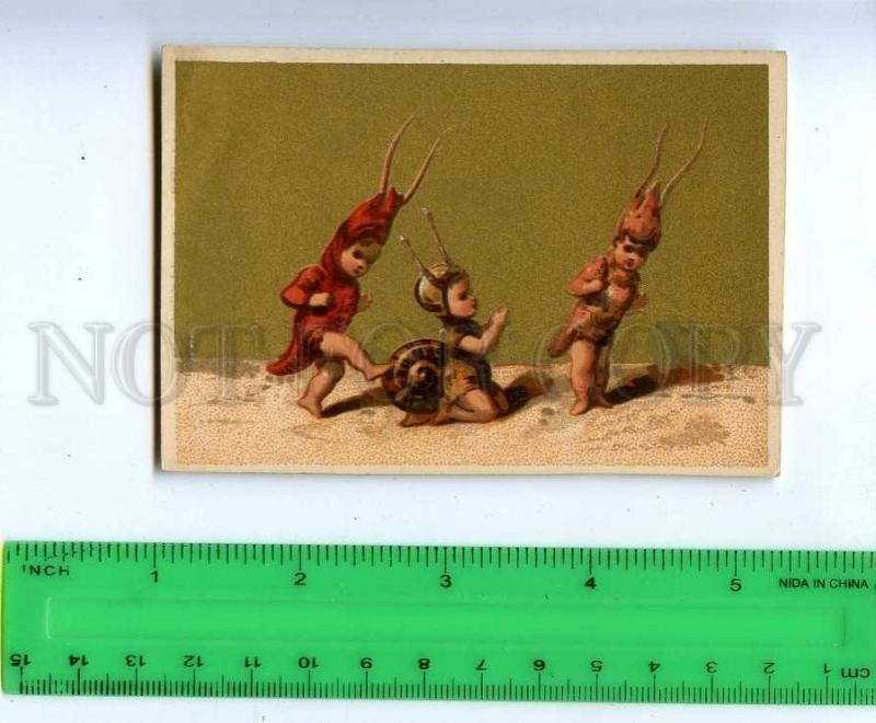 188984 FAIRY Snail and shrimp Vintage card