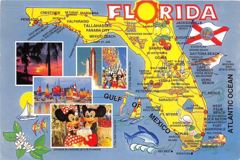 BG20825 map walt disney cartes geographiques  florida usa