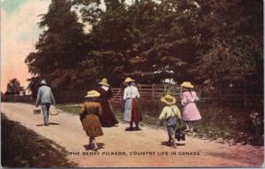 The Berry Pickers Country Life in Canada Agriculture Unused Antique Postcard E24