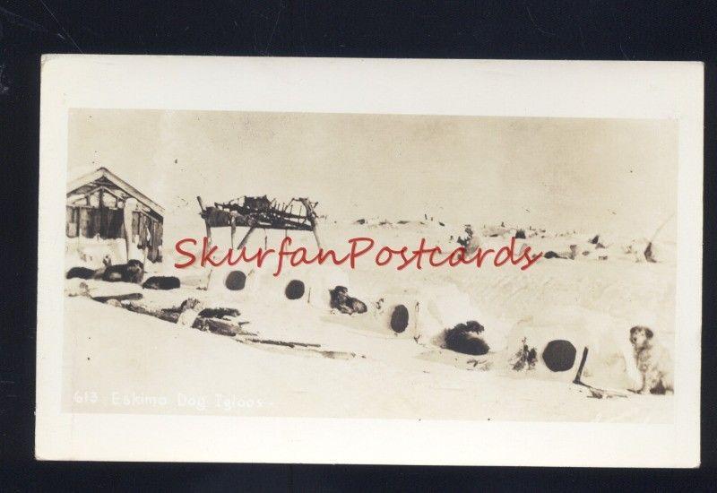 RPPC ALASKA ALASKAN DOG IGLOOS DOGS IGLOO VINTAGE REAL PHOTO POSTCARD