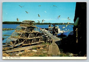 Fishing Boat at Rose Bay NOVA SCOTIA Canada 4x6 Vintage Postcard 0276