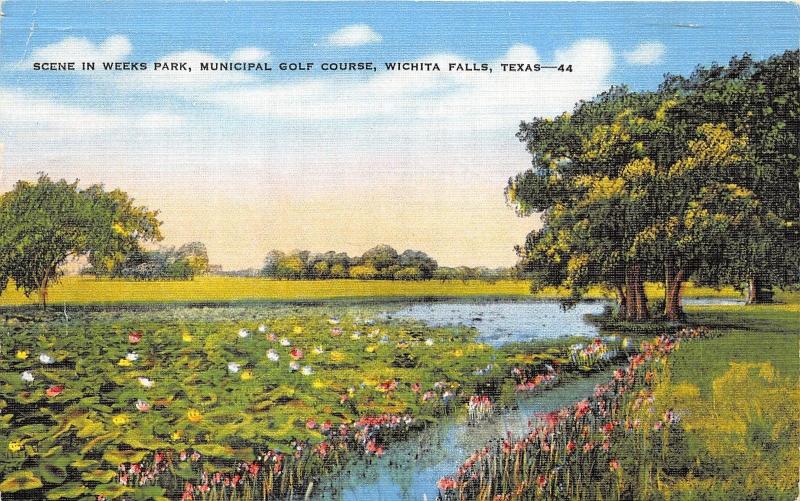Wichita Falls Texas~Weeks Park-Municipal Golf Course~Pond w Lily Pads~1947 Pc