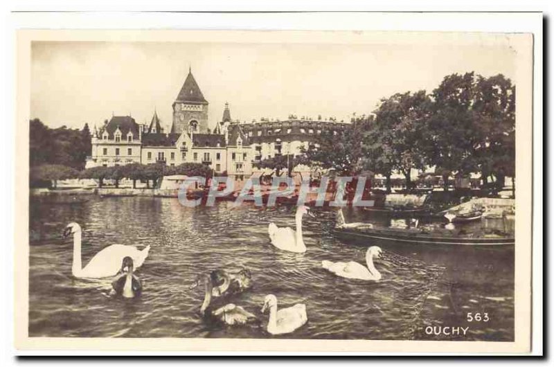 Switzerland Old Postcard Ouchy (swan swan)