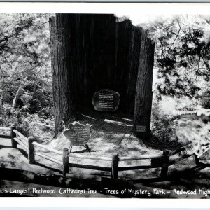 c1950s Redwood Hwy CA RPPC Redwood Cathedral Tree Joseph B Strauss Monument A164