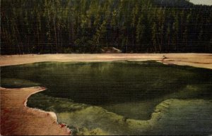 Yellowstone National Park Emerald Pool Black Sand Basin Curteich