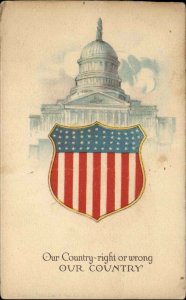 Washington DC American Capitol c1910 Vintage Postcard