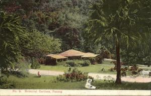 straits settlements, Malay Malaysia, PENANG, Botanical Gardens (1908) Postcard 