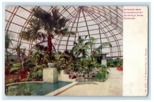 c1910's Interior New Conservatory Garfield Park Chicago Illinois IL Postcard