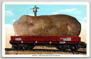 1933 Potatoe The Kind We Raise In Maine Giant Carload Posted Postcard