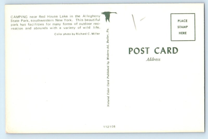 1960 Allegheny New York Postcard Camping Red House Lake State Park Southwestern