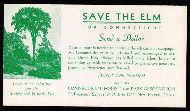 Save The Elm - for Connecticut blotter – Send a Dollar