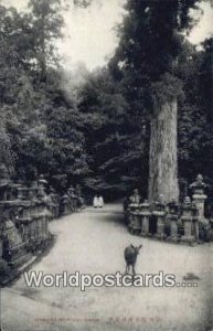 Kasuga Shrine Nara Japan Unused 