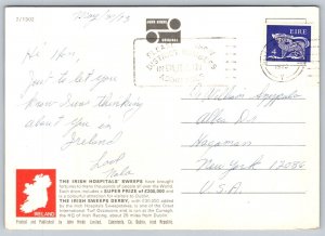 1973  Sporting  Ireland  Fox Hunting  Horse  Postcard