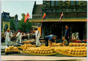 Postcard - Cheese market - Alkmaar, Netherlands