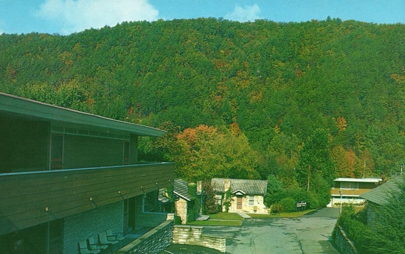 Vintage Postcard 1962 Bearskin Motel Near Park Entrance Gatlinburg Tennessee TN 