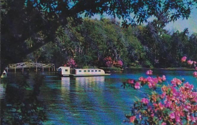 Florida Dunnellon Underwater Sub At Rainbow Springs