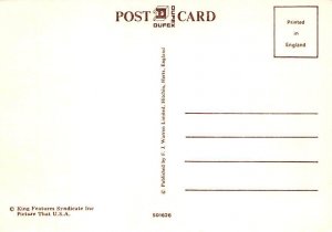 Beetle Bailey, Cookie 