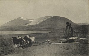 russia, NOVAYA ZEMLYA, Dog Sledge (1910s) Postcard