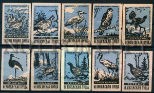 500642 USSR BELARUS birds Bialowieza Forest Old match labels