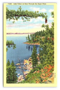 Postcard Lake Tahoe As Seen Through The Sugar Pines California