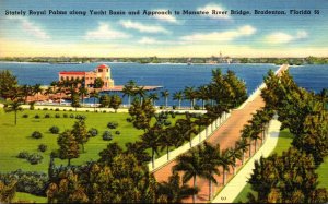 Florida Bradenton Stately Royal Palms Along Yacht Basin 1960