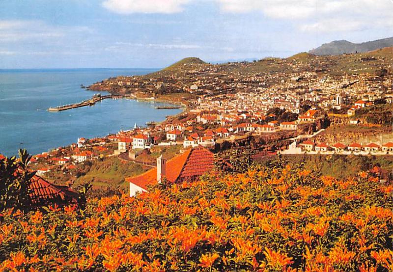 Vista Oeste - Madeira