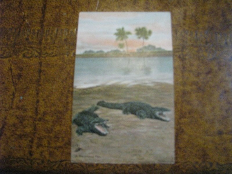 Vintage Alligator Postcard Tuck Series #2645 A Ravenous Pair Unused