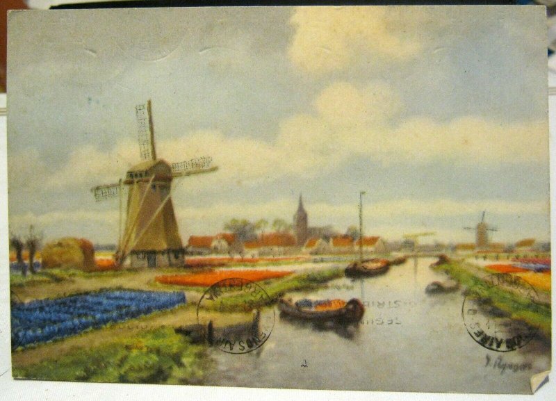 Netherlands Art Bulb Fields Windmill Canals - posted 1948