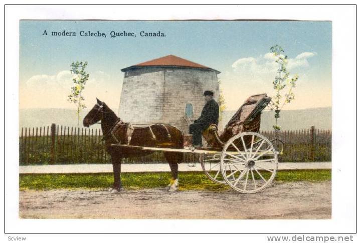 Horse Cart, A Modern Caleche, Quebec, Canada, 1900-1910s