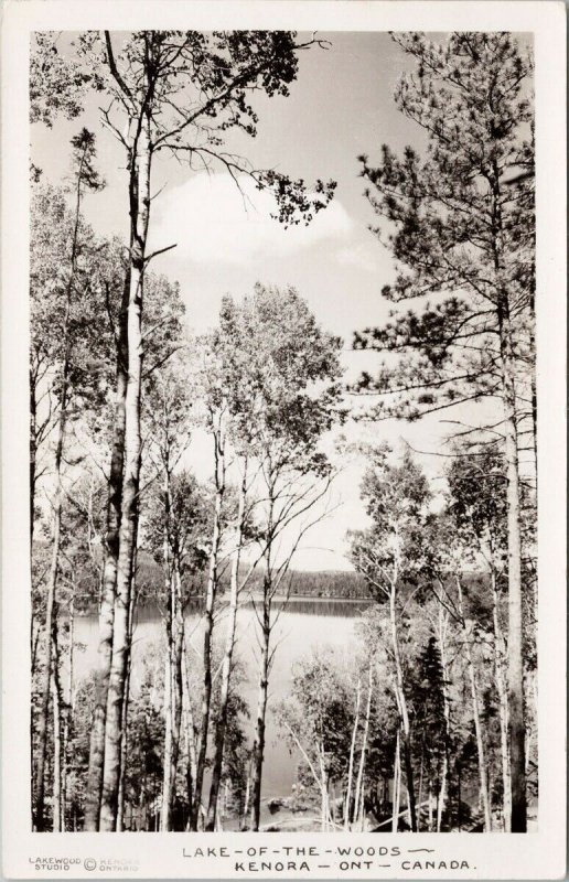 Kenora ON Lake Of The Woods Trees Water Scene Lakewood Studio RPPC Postcard H20