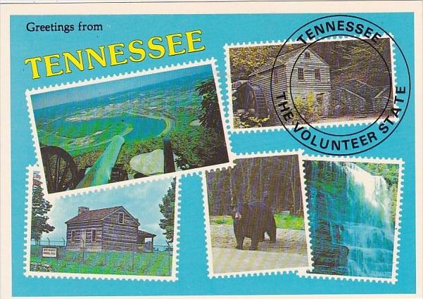 Tennessee Nashville Greetings From Tennessee The Volunteer State