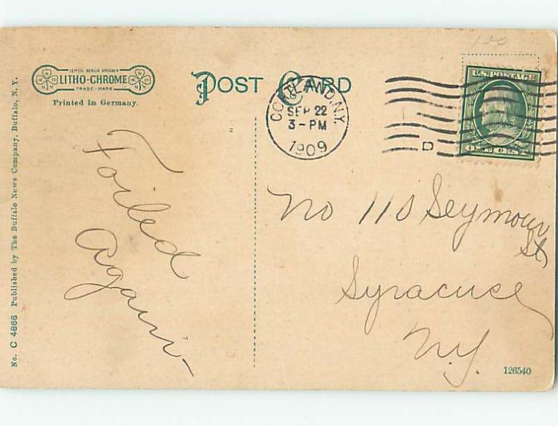 Divided-Back HOSPITAL SCENE Cortland New York NY W3276