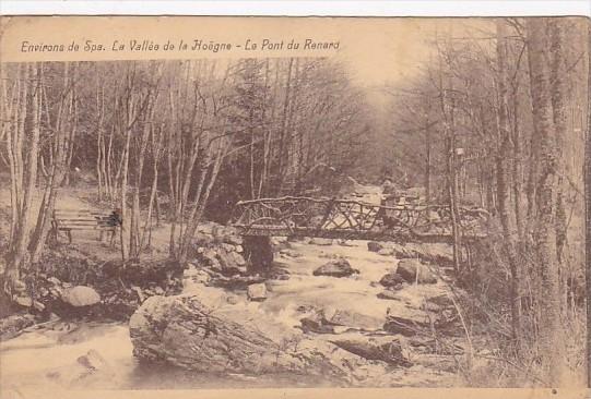 Belgium Spa La Vallee de la Hoegne Le Pont du Renard 1928