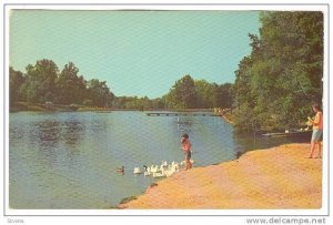 Feeding The Ducks At Guilford Battleground Park , Greensboro, North Carolina,...