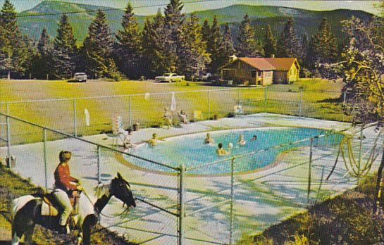 Canada Swimming Pool Rafter Six Guest Ranch Seebe Alberta